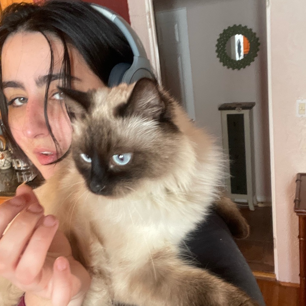 Meet your Posher, Eileen